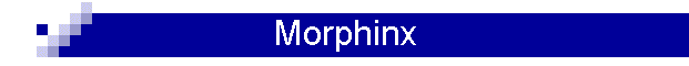 Morphinx